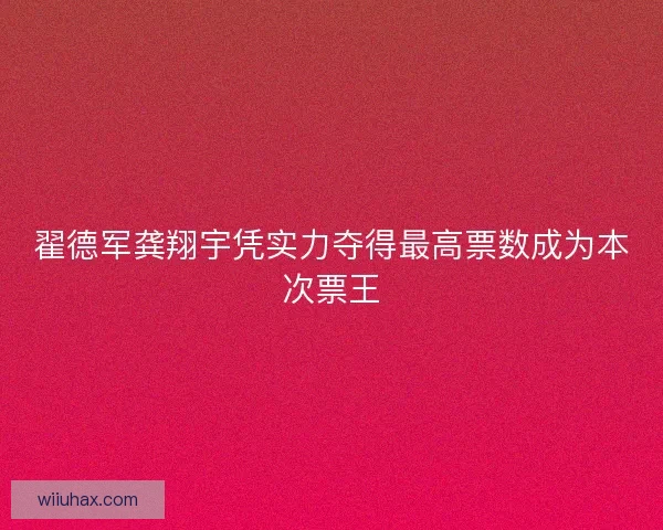 翟德军龚翔宇凭实力夺得最高票数成为本次票王